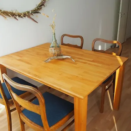 Elegante & Stilvolle 2,5 Raum * Dresde